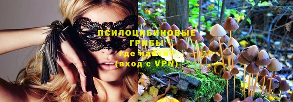 PSILOCYBIN Алексин