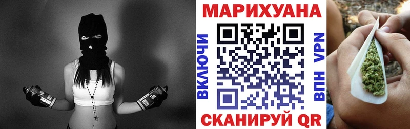 Бошки Шишки план  Жуков 